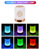 Bluetooth Quran Speaker Light