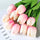 Artificial Tulip Decor Stems